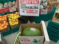 横浜ベイサイドマリーナの写真_363070