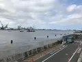 横浜ベイサイドマリーナの写真_363079