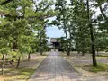 妙心寺の写真_363502