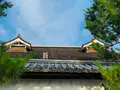 妙心寺の写真_363515