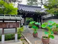 退蔵院の写真_363520