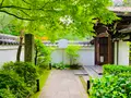 退蔵院の写真_363521