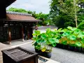 退蔵院の写真_363529