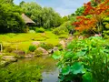 退蔵院の写真_363538