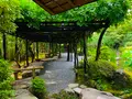 退蔵院の写真_363543