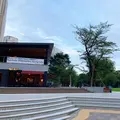 新宿中央公園の写真_363631