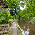 高瀬川の写真_364113