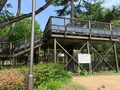 倉敷みらい公園の写真_364316