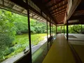 瑠璃光院の写真_364522