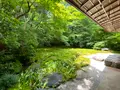 瑠璃光院の写真_364523