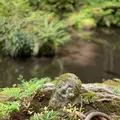 三千院の写真_364536