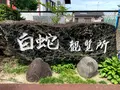 岩国白蛇神社の写真_364850