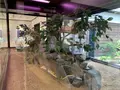 岩国シロヘビの館の写真_364972