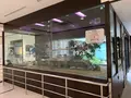 岩国シロヘビの館の写真_364974