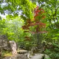 宝泉院の写真_365522