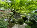 宝泉院の写真_365527