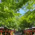 鞍馬寺 本堂の写真_365985