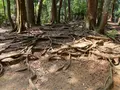 奥の院魔王殿の写真_365994