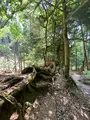 奥の院魔王殿の写真_365996
