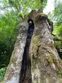 貴船神社の写真_366005