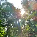 貴船神社 奥宮の写真_366017