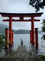 箱根神社の写真_366362