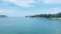 前島フェリーの写真_366486