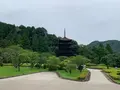 瑠璃光寺の写真_366693
