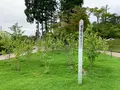 香山公園の写真_366710