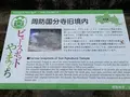 周防国分寺の写真_366816