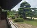 毛利博物館の写真_366836