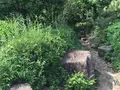 西郷山公園の写真_367121