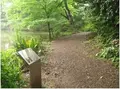 学習院大学の写真_367131