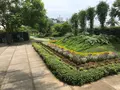 貫一お宮の像（お宮の松）の写真_367193