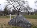 駿府城公園の写真_367216