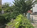 貫一お宮の像（お宮の松）の写真_367218