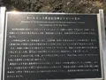 貫一お宮の像（お宮の松）の写真_367227