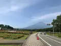 山中湖花の都公園の写真_367260