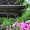 青龍山 吉祥寺の写真_367701