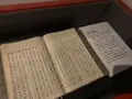 桃太郎のからくり博物館の写真_367816