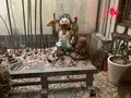 桃太郎のからくり博物館の写真_367822