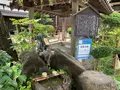 柳と井戸／湘江庵の写真_368004