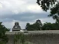 熊本城の写真_368871