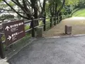 熊本城の写真_368872