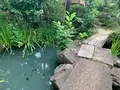 新渓園の写真_369145