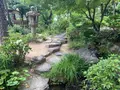 新渓園の写真_369151