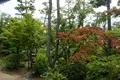 語らい座 大原本邸（旧大原家住宅）の写真_369260