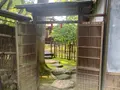 旧野﨑家住宅の写真_369398