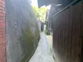 旧野﨑家住宅の写真_369401