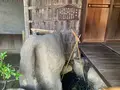 旧野﨑家住宅の写真_369403